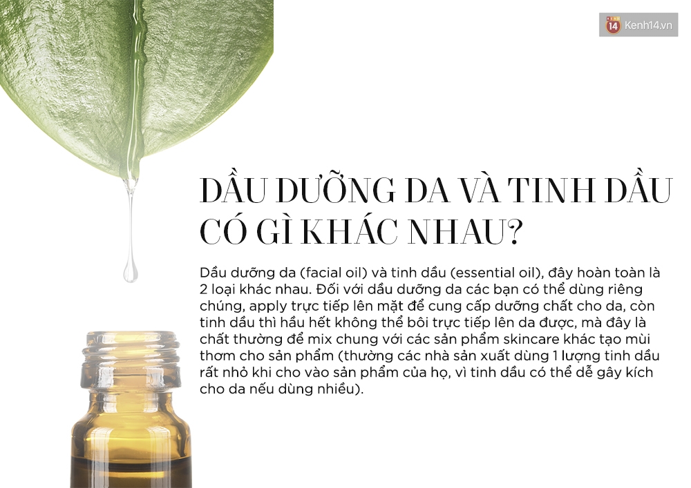 Dưỡng da với oil từ A đến Z với beauty blogger Thúy Võ - Ảnh 5. Dưỡng da với oil từ A đến Z với beauty blogger Thúy Võ - Ảnh 5.