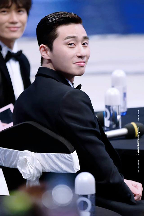“She Was Pretty” kết thúc chưa lâu, Park Seo Joon đã gật đầu cặp kè Go Ara - Ảnh 1.