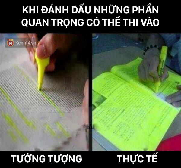 15 điều chắc chắn những ai sắp thi Đại học sẽ hiểu - Ảnh 5.