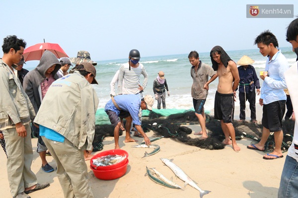 Đà Nẵng khẳng định nước biển không bị nhiễm độc, du khách hoàn toàn yên tâm khi đến đây du lịch! - Ảnh 2.