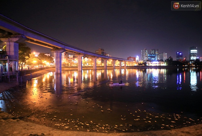 Trắng đêm xử lí tình trạng cá chết tại hồ Hoàng Cầu - Ảnh 1.