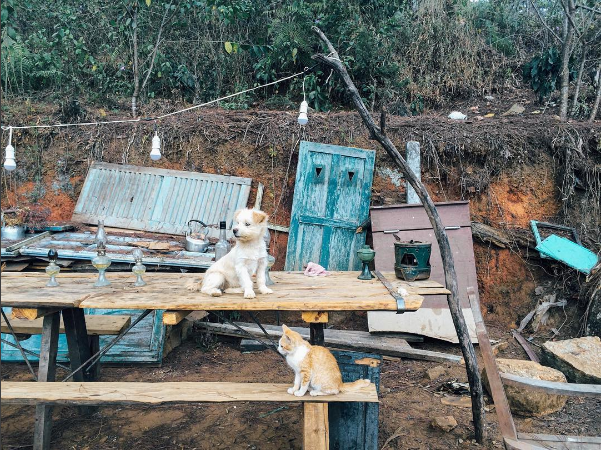 Thêm một căn nhà cực xinh xắn chứng minh Đà Lạt đúng là thiên đường homestay! - Ảnh 24.