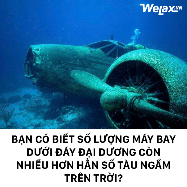 10 fun fact khoa học bạn nhất định phải xem qua cho biết - Ảnh 1.