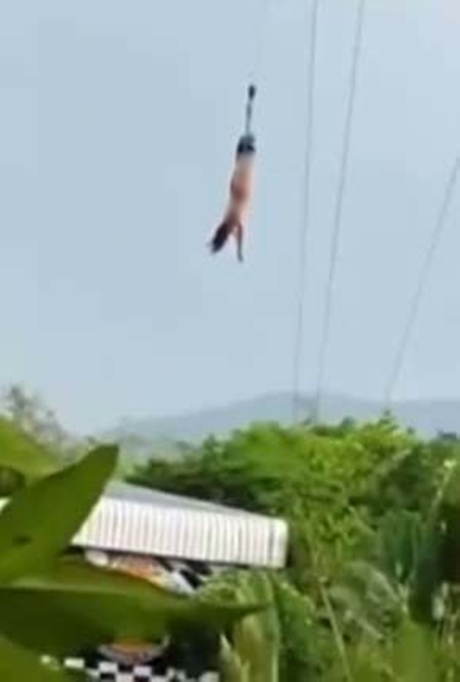 Say sưa nhảy bungee, cô gái trẻ bị bay sạch quần áo mặc trên người - Ảnh 2.