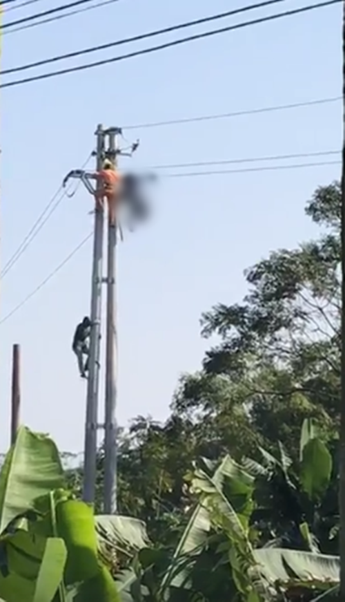 Bàng hoàng phát hiện thi thể người thợ cháy đen trên cột điện cao thế ở Quảng Ninh - Ảnh 2.