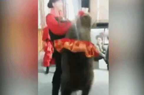 Nga: Đang ăn thì bị vuốt ve, chú gấu nâu quay sang quật ngã người phụ nữ lạ mặt - Ảnh 2.