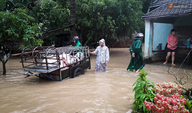 Chùm ảnh: Lũ lớn đổ về bất ngờ, hàng nghìn người dân Bình Định bị cô lập - Ảnh 13.