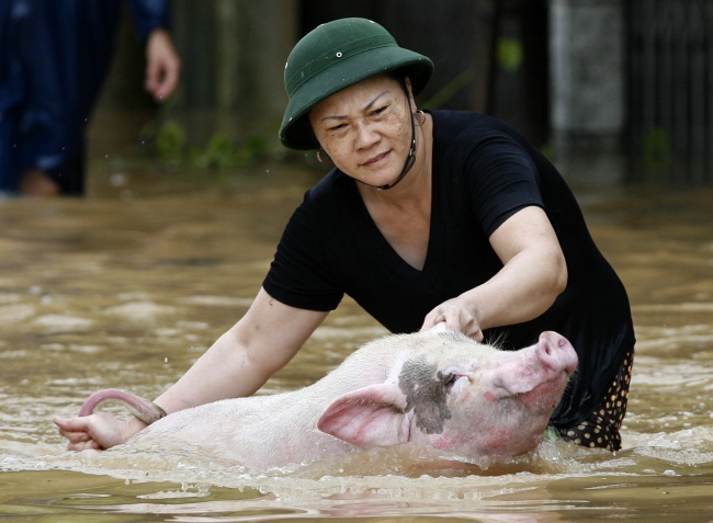 Đây chính là minh chứng cho tình yêu vô điều kiện mà con người dành cho những loài vật xung quanh - Ảnh 10.