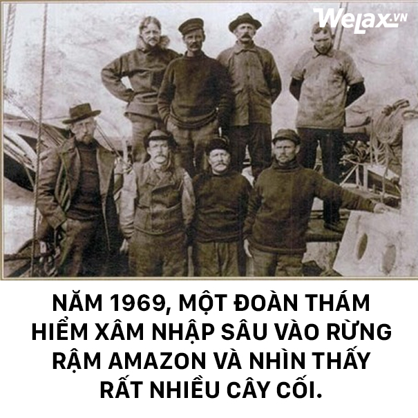 10 fun fact khoa học bạn nhất định phải xem qua cho biết - Ảnh 2.