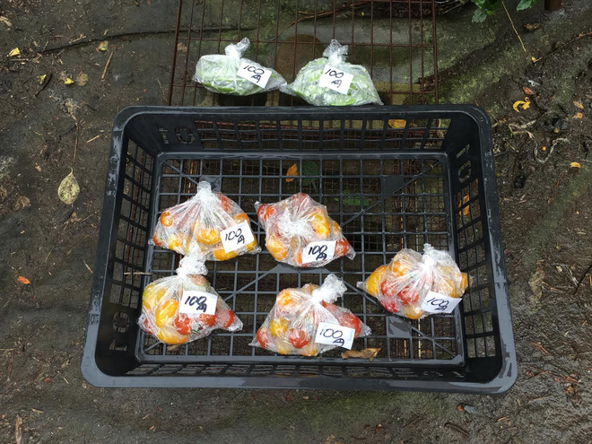 Những quầy h&agrave;ng kh&ocirc;ng người b&aacute;n độc đ&aacute;o của nước Nhật - Ảnh 11.