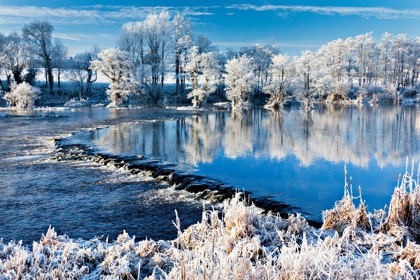 Hãy nghỉ ngơi trong thiên đường mùa đông bằng cách xem bức ảnh này. Bức hình sẽ đưa bạn đến một thế giới kỳ diệu với các đóa hoa tuyết rực rỡ. Vẻ đẹp này sẽ khiến bạn cảm thấy như một người hạnh phúc khi được quan sát sự sống động của thiên nhiên.