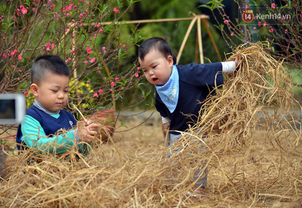 Người d&acirc;n H&agrave; Nội th&iacute;ch th&uacute; dạo chơi ở đường hoa rực rỡ ng&agrave;y đầu xu&acirc;n - Ảnh 2.