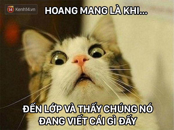 13 điều chắc chắn đứa học sinh nào cũng đã từng trải qua - Ảnh 13.