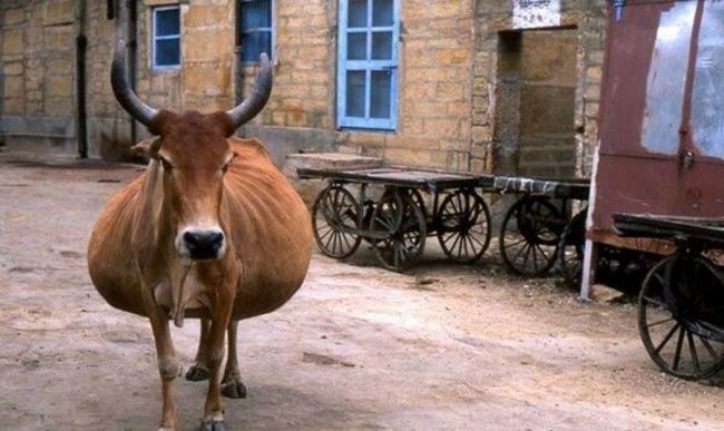 17 b&agrave; bầu chửa đẻ m&agrave; vẫn xinh đẹp v&agrave; đ&aacute;ng y&ecirc;u như thường - Ảnh 5.