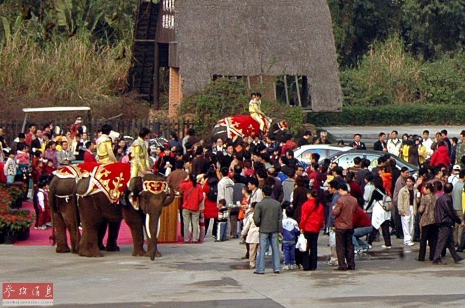 Trước vụ hổ cắn chết người trong vườn thú, biết bao tai nạn thương tâm do động vật tấn công du khách đã xảy ra - Ảnh 11. Trước vụ hổ cắn chết người trong vườn thú, biết bao tai nạn thương tâm do động vật tấn công du khách đã xảy ra - Ảnh 11.