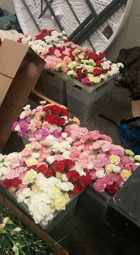 Đây chính là thanh niên chơi lớn nhất mùa Valentine năm nay! - Ảnh 2.