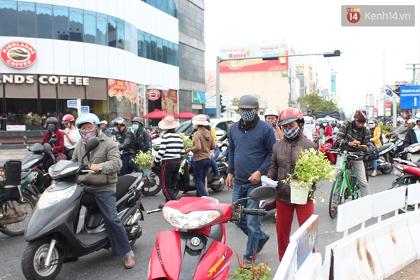 Thu dọn hoa trang trí tại bùng binh, người dân Đà Nẵng đến gom hoa về trồng - Ảnh 9.