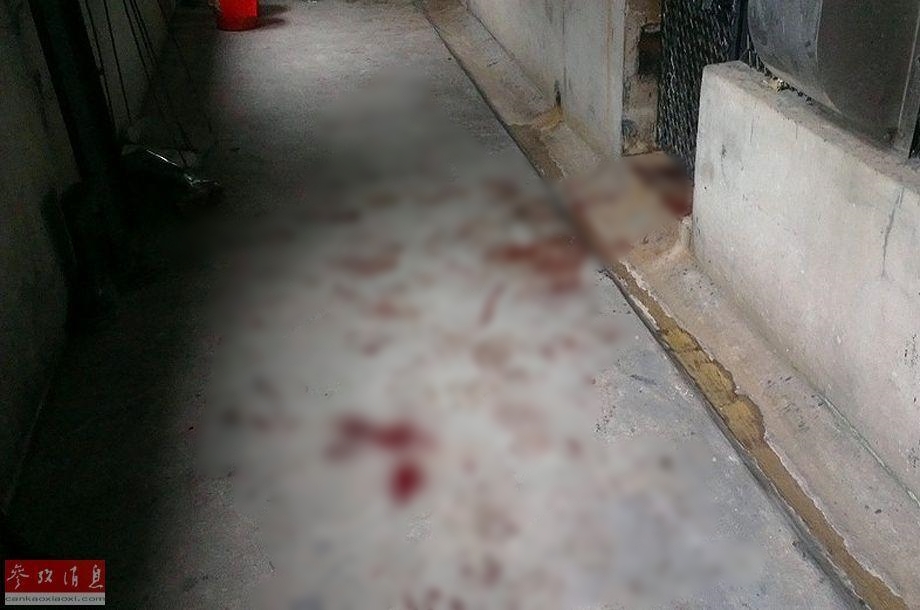 Trước vụ hổ cắn chết người trong vườn thú, biết bao tai nạn thương tâm do động vật tấn công du khách đã xảy ra - Ảnh 12. Trước vụ hổ cắn chết người trong vườn thú, biết bao tai nạn thương tâm do động vật tấn công du khách đã xảy ra - Ảnh 12.