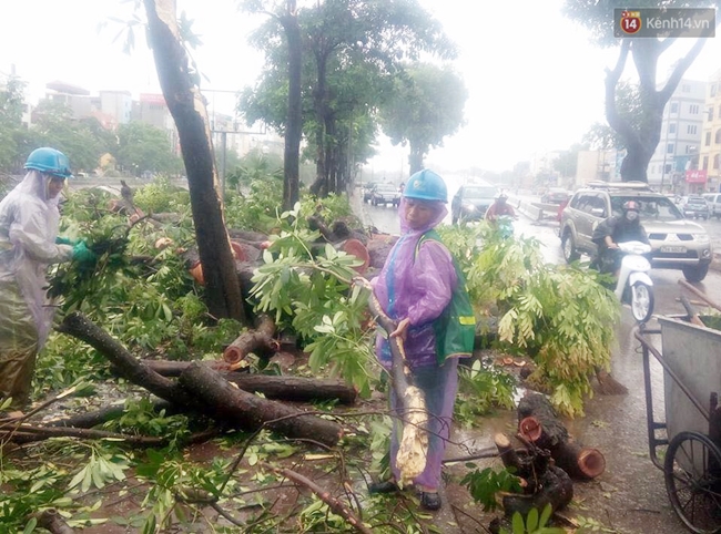 Chùm ảnh: Lực lượng cứu hộ và người dân Hà Nội tất bật dọn dẹp hậu quả bão số 1 - Ảnh 19.