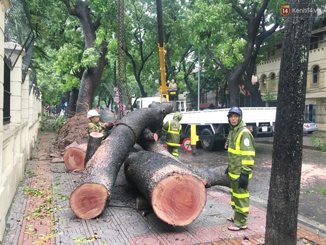 Chùm ảnh: Lực lượng cứu hộ và người dân Hà Nội tất bật dọn dẹp hậu quả bão số 1 - Ảnh 15.