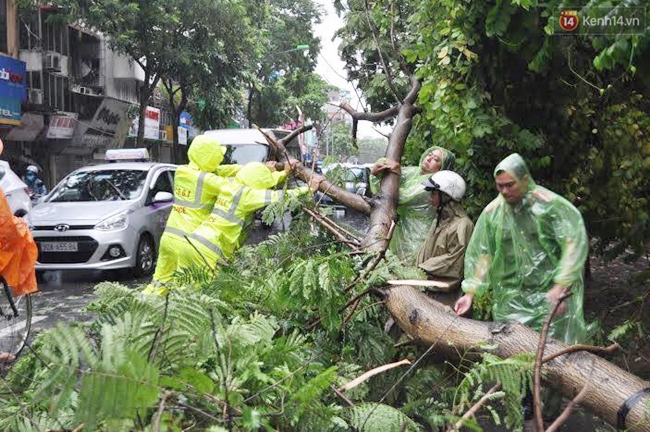 Chùm ảnh: Lực lượng cứu hộ và người dân Hà Nội tất bật dọn dẹp hậu quả bão số 1 - Ảnh 16.