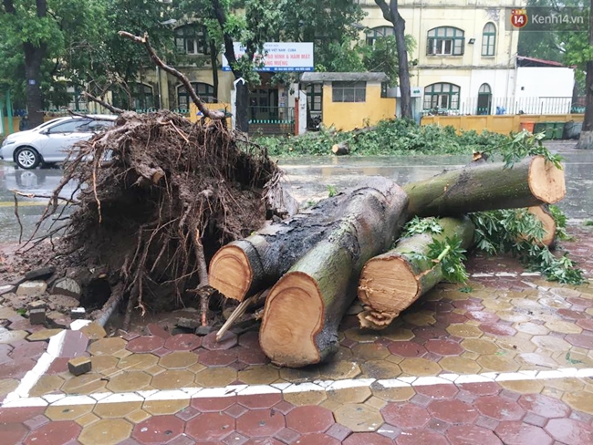 Chùm ảnh: Lực lượng cứu hộ và người dân Hà Nội tất bật dọn dẹp hậu quả bão số 1 - Ảnh 18.