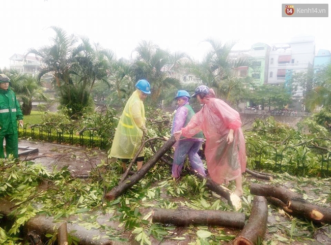 Chùm ảnh: Lực lượng cứu hộ và người dân Hà Nội tất bật dọn dẹp hậu quả bão số 1 - Ảnh 20.