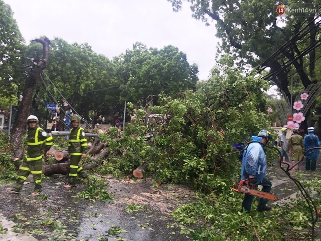 Chùm ảnh: Lực lượng cứu hộ và người dân Hà Nội tất bật dọn dẹp hậu quả bão số 1 - Ảnh 13.