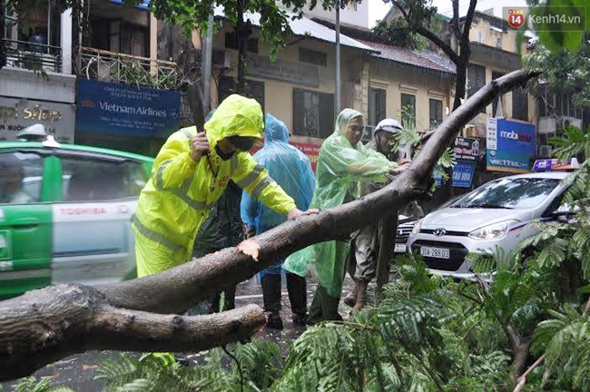 Chùm ảnh: Lực lượng cứu hộ và người dân Hà Nội tất bật dọn dẹp hậu quả bão số 1 - Ảnh 17.