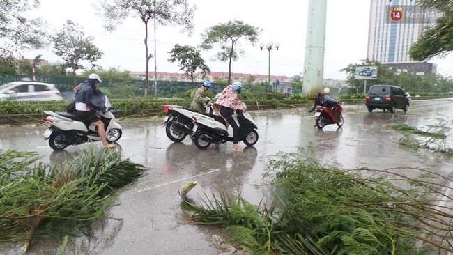 Ảnh hưởng của bão số 1: Gió tạt quá mạnh khiến hàng loạt xe máy đổ ngổn ngang trên đường - Ảnh 3.