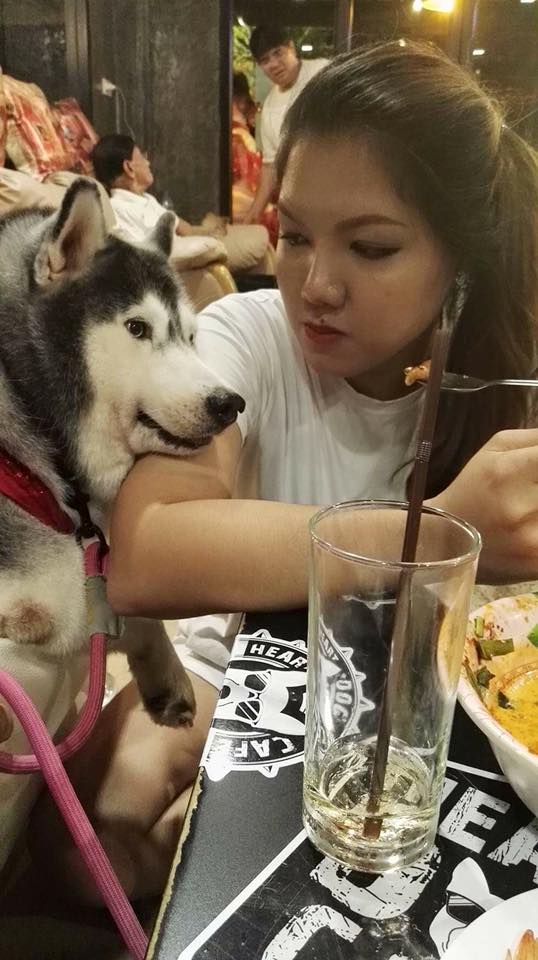 Ch&uacute; ch&oacute; quốc d&acirc;n của Th&aacute;i Lan g&acirc;y sốt v&igrave;... đi đ&acirc;u cũng mang theo gối, nằm đ&acirc;u cũng ngủ được! - Ảnh 29.