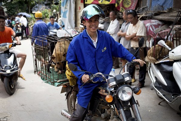 Hình ảnh đáng thương của những chú chó mèo vô tội trong lễ hội thịt chó khét tiếng tại Trung Quốc - Ảnh 14.