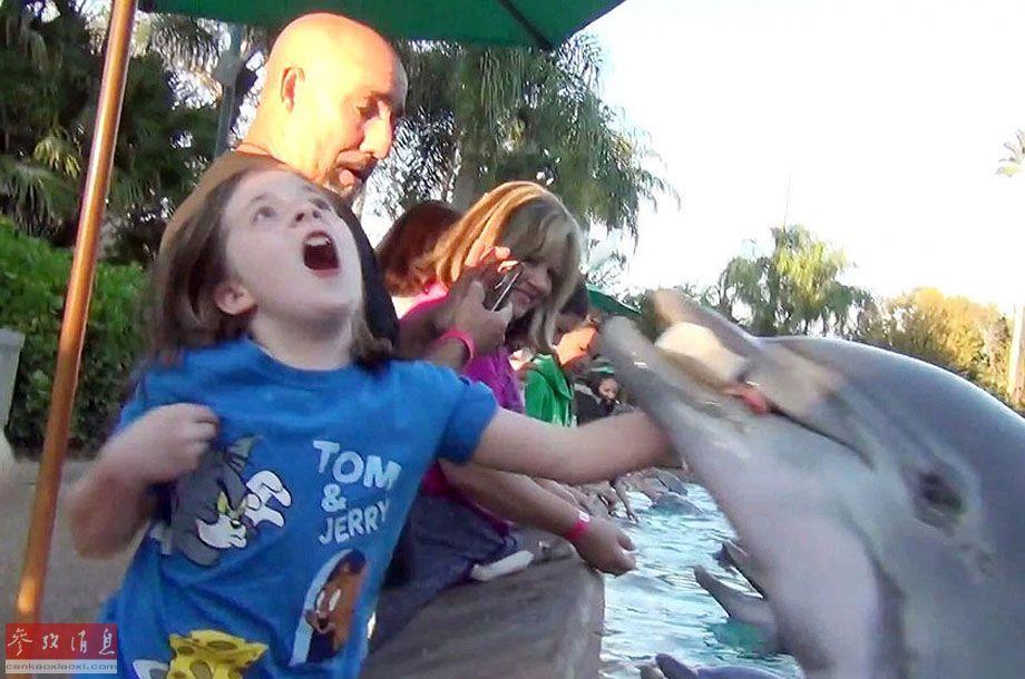 Trước vụ hổ cắn chết người trong vườn thú, biết bao tai nạn thương tâm do động vật tấn công du khách đã xảy ra - Ảnh 13. Trước vụ hổ cắn chết người trong vườn thú, biết bao tai nạn thương tâm do động vật tấn công du khách đã xảy ra - Ảnh 13.