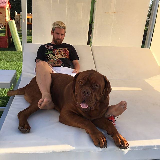 Messi thảnh thơi thư giãn bên chó cưng khổng lồ