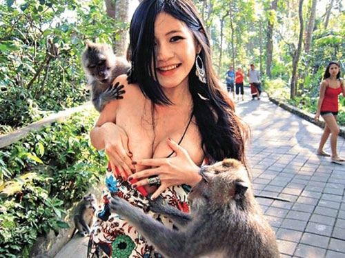 Thái Lan: Đười ươi sàm sỡ nữ du khách xinh đẹp trong Công viên Safari World - Ảnh 5.