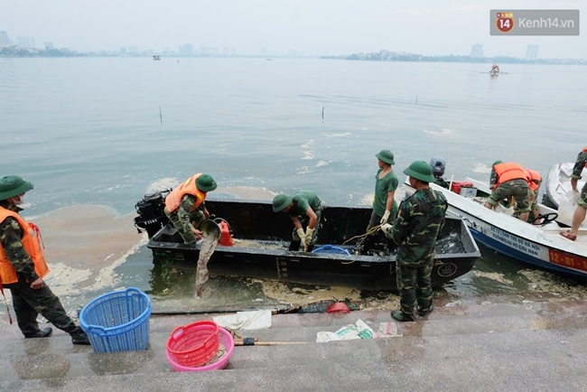 Hồ Tây sạch bóng cá chết, Hà Nội tập trung xử lý ô nhiễm môi trường - Ảnh 4.
