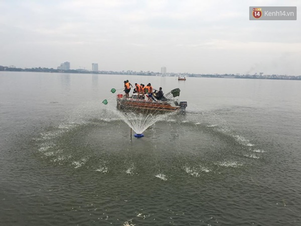 Hồ Tây sạch bóng cá chết, Hà Nội tập trung xử lý ô nhiễm môi trường - Ảnh 5.