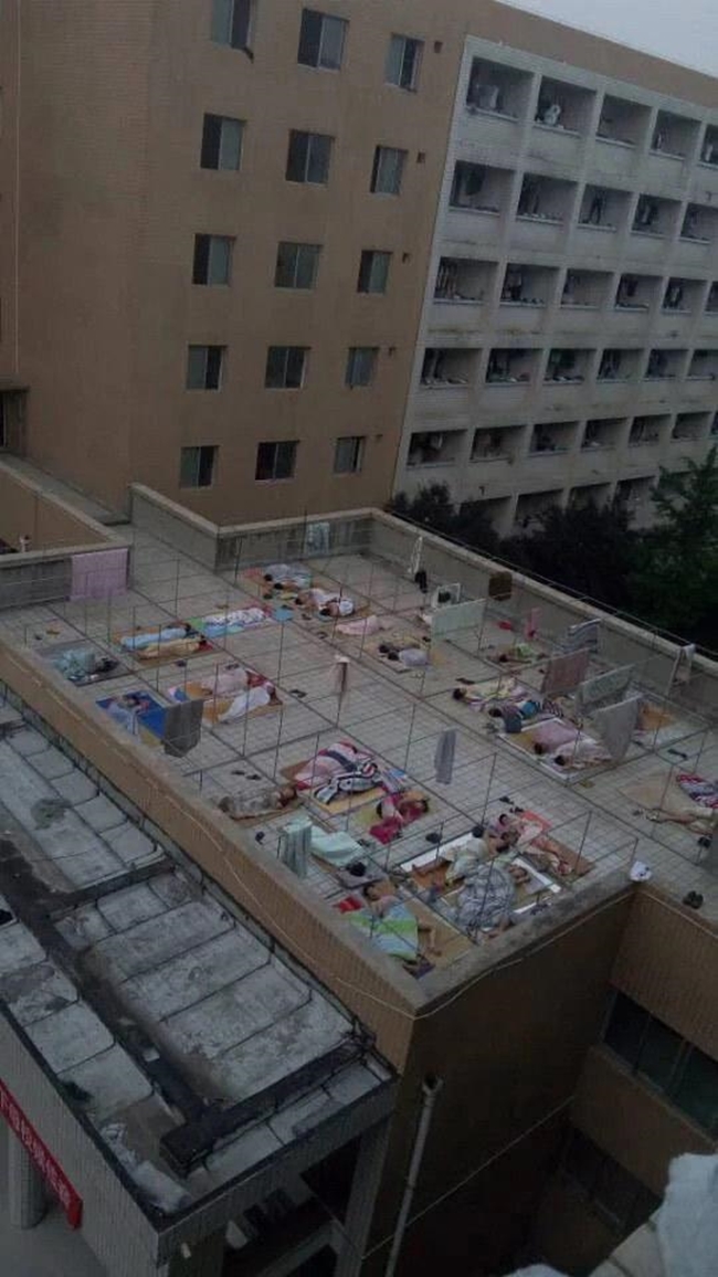 Trung Quốc: Phát ngốt với cuộc chiến giành chỗ tránh nóng ở thư viện trường - Ảnh 8.