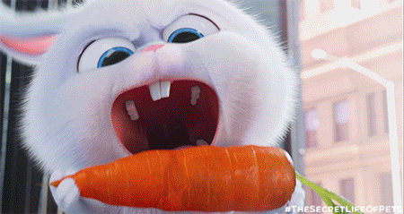 10 chú thỏ nổi tiếng nhất trên phim ảnh bạn cần phải biết