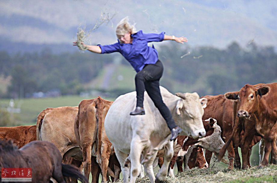 Trước vụ hổ cắn chết người trong vườn thú, biết bao tai nạn thương tâm do động vật tấn công du khách đã xảy ra - Ảnh 14. Trước vụ hổ cắn chết người trong vườn thú, biết bao tai nạn thương tâm do động vật tấn công du khách đã xảy ra - Ảnh 14.