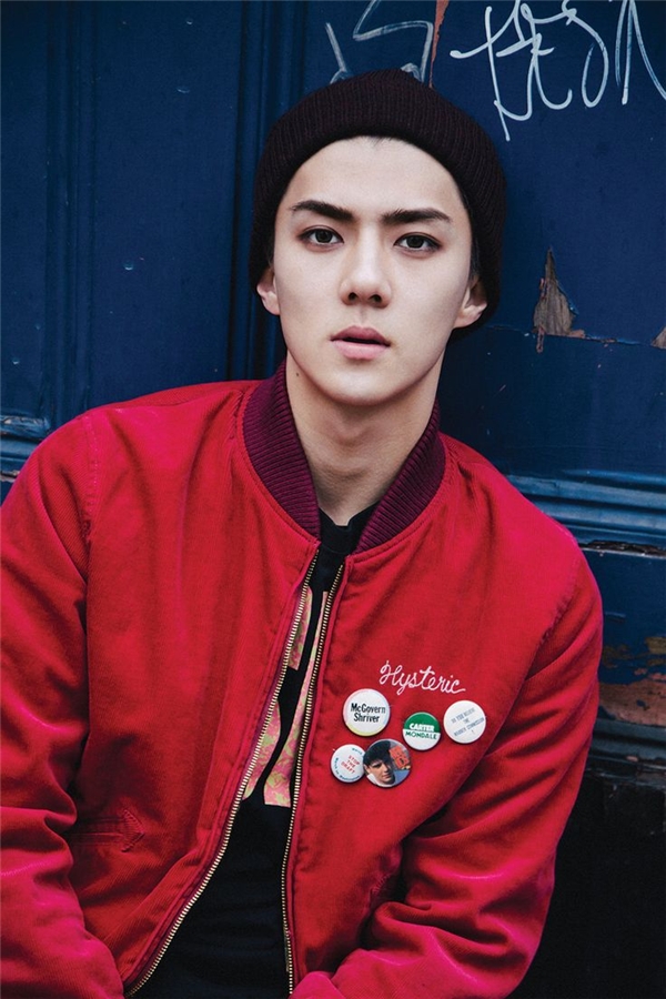 Sehun (EXO) đích thân cổ vũ fan đóng góp xây cầu từ thiện tại Việt Nam - Ảnh 1.