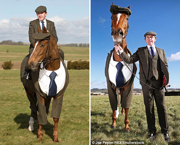 Làm quen với anh ngựa mặc vest bảnh trai nhất thế giới - Ảnh 2.