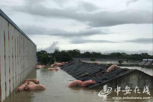 Những h&igrave;nh ảnh kh&ocirc;ng thể tưởng tượng nổi trong trận mưa lũ nghi&ecirc;m trọng ở Trung Quốc - Ảnh 17.