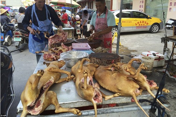 Dù vấp phải nhiều sự phản đối, lễ hội thịt chó vẫn diễn ra tại Ngọc Lâm, Trung Quốc - Ảnh 3.