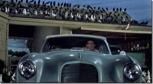 9 chú chim nổi tiếng trên màn ảnh rộng bạn không thể không biết - Ảnh 9.