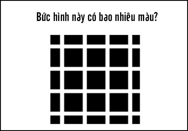 Bạn nhìn thấy bao nhiêu màu trong bức hình này? - Ảnh 2.