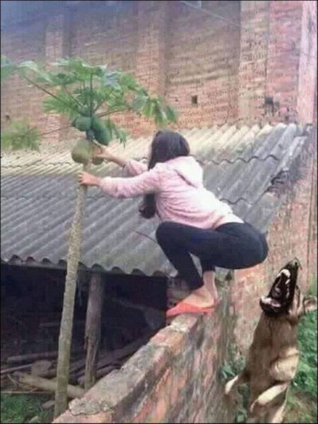 16 gương mặt chỉ nh&igrave;n th&ocirc;i cũng thấy đ&aacute;ng thương lắm rồi - Ảnh 2.