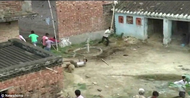 Ấn Độ: Cả làng hoảng loạn vì bị báo hoang tấn công  - Ảnh 3.