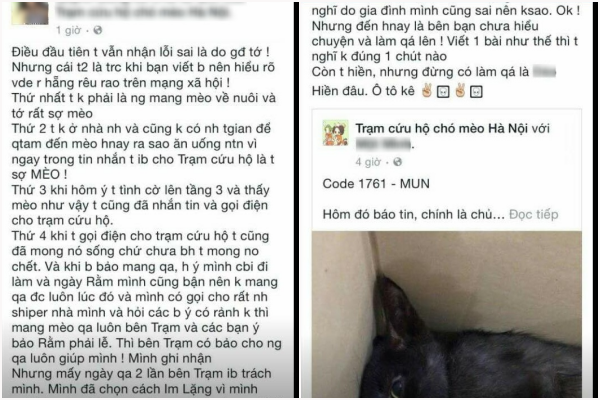 Hà Nội: Cô gái bị tố bỏ đói chú mèo liệt 1 tháng, thản nhiên nói chờ mãi nó không chết? - Ảnh 4.