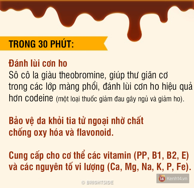 Sự thay đổi của cơ thể trong từng phút khi chúng ta ăn chocolate - Ảnh 2.